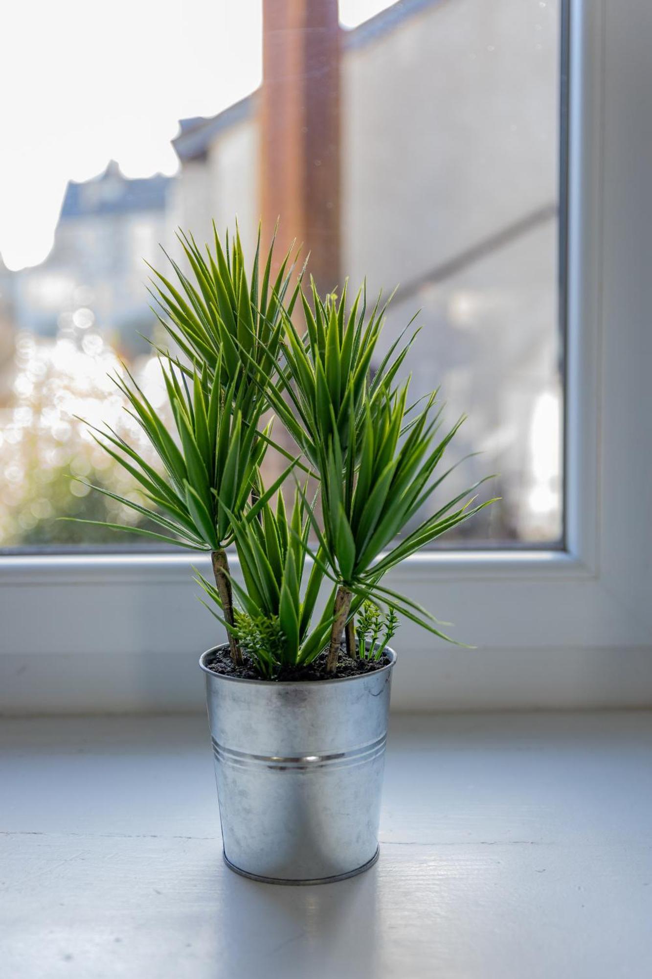 Le Refuge Des Grands Rassemblements Appartement